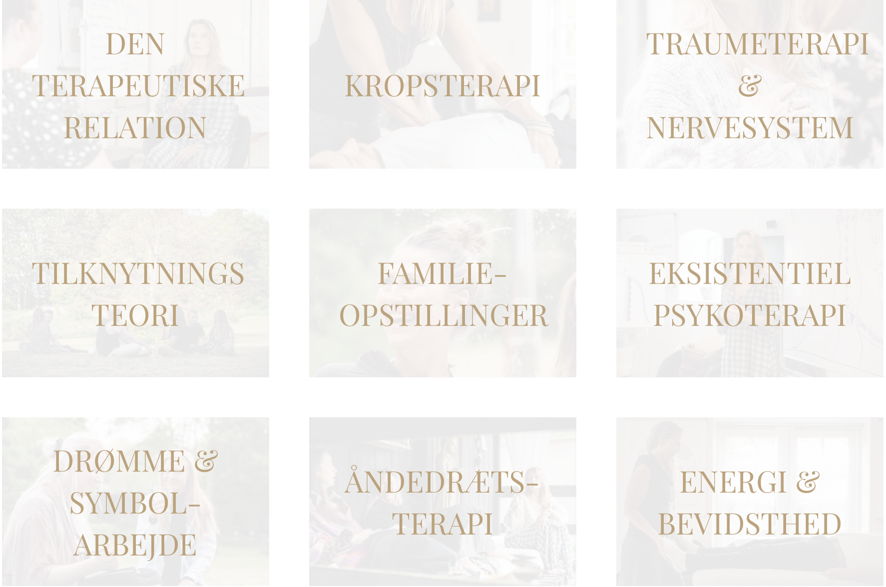 ALle de vigtigste metoder i terapi