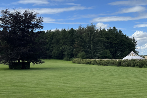 Holdopstart psykoterapeutuddannelse tobias-skolen Jylland